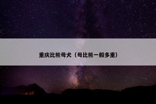 重庆比熊母犬(母比熊一般多重) 重庆比熊母犬(母比熊一般多重)