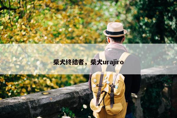 柴犬终结者,柴犬urajiro