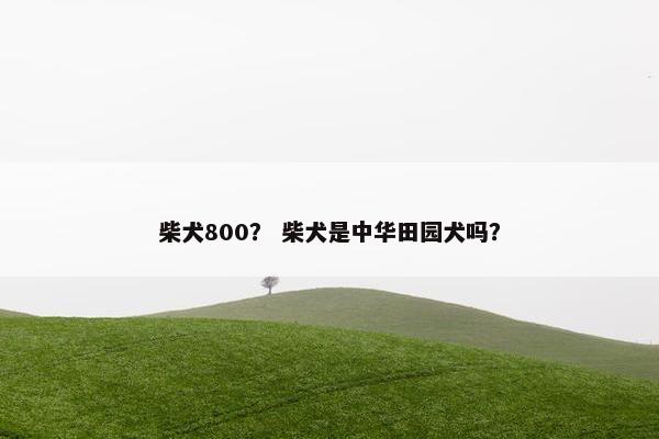 柴犬800? 柴犬是中华田园犬吗? 柴犬800? 柴犬是中华田园犬吗?