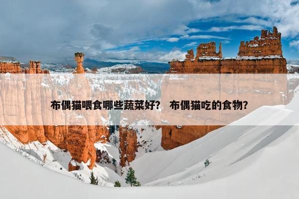 布偶猫喂食哪些蔬菜好? 布偶猫吃的食物?