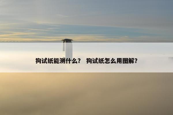 狗试纸能测什么？ 狗试纸怎么用图解？