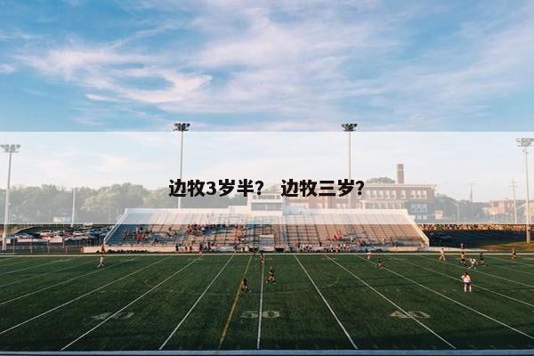 边牧3岁半？ 边牧三岁？