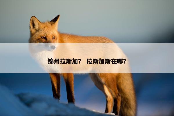 锦州拉斯加？ 拉斯加斯在哪？