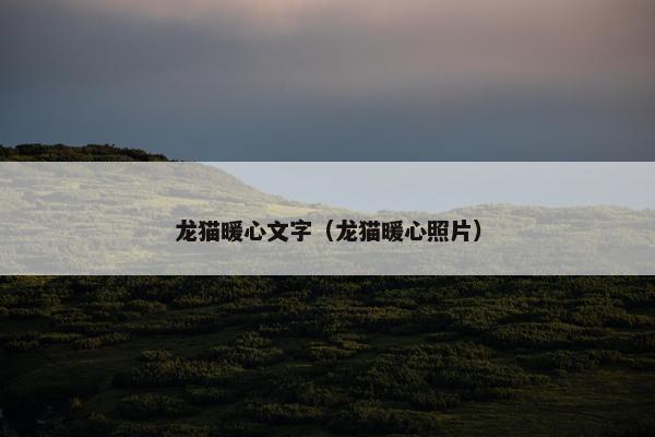 龙猫暖心文字（龙猫暖心照片）