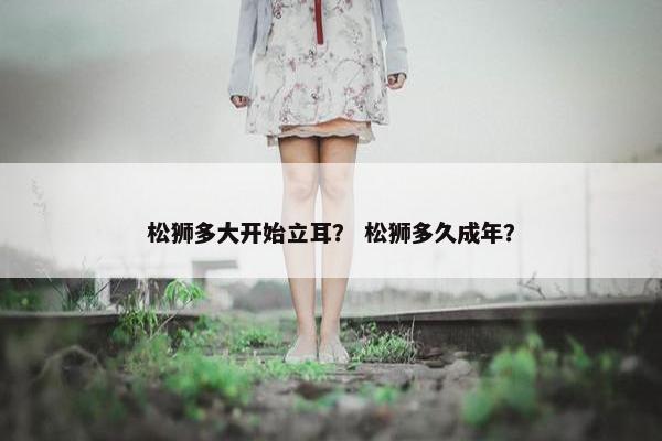 松狮多大开始立耳？ 松狮多久成年？
