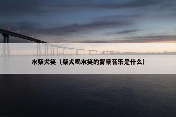 水柴犬笑（柴犬喝水笑的背景音乐是什么）