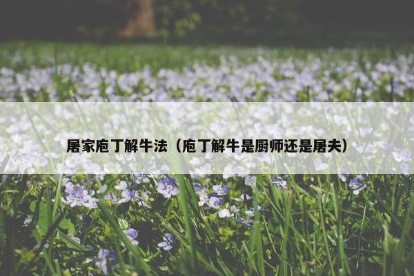 屠家庖丁解牛法（庖丁解牛是厨师还是屠夫）