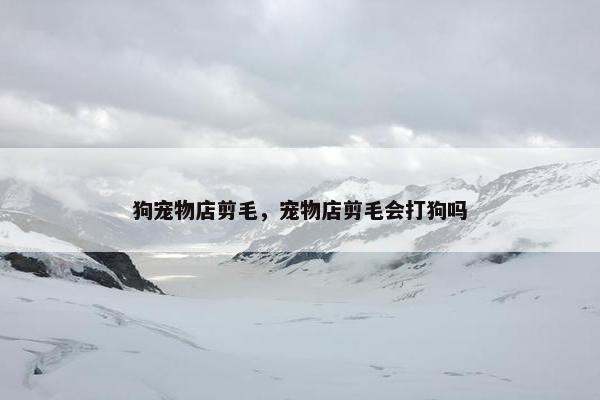 狗宠物店剪毛，宠物店剪毛会打狗吗