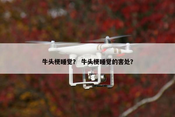 牛头梗睡觉? 牛头梗睡觉的害处?