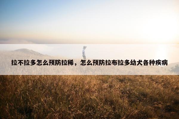 拉不拉多怎么预防拉稀，怎么预防拉布拉多幼犬各种疾病