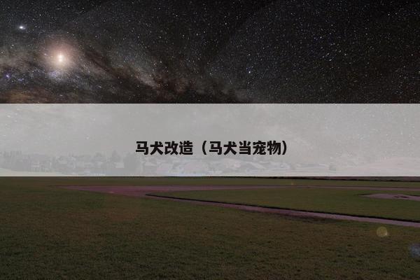 马犬改造（马犬当宠物）
