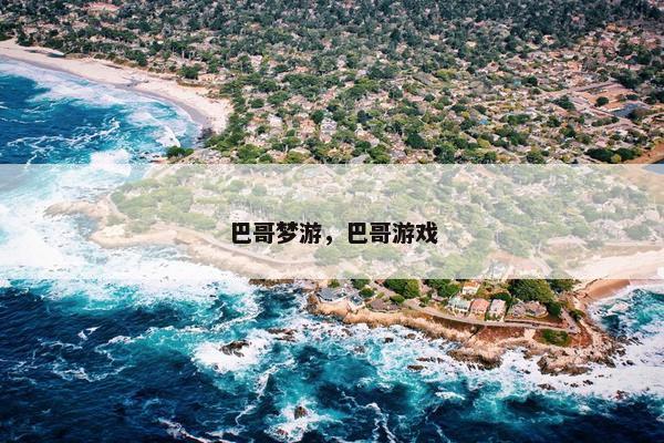 巴哥梦游,巴哥游戏