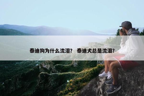 泰迪狗为什么流泪？ 泰迪犬总是流泪？