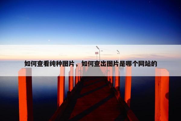 如何查看纯种图片，如何查出图片是哪个网站的