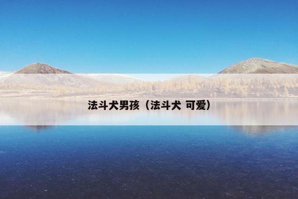 法斗犬男孩（法斗犬 可爱）