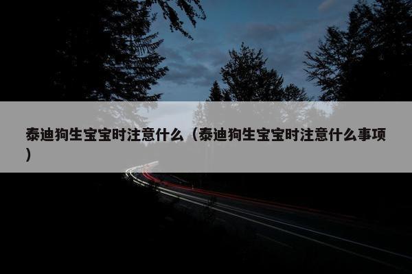泰迪狗生宝宝时注意什么（泰迪狗生宝宝时注意什么事项）