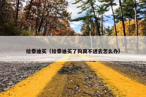 给泰迪买（给泰迪买了狗窝不进去怎么办）