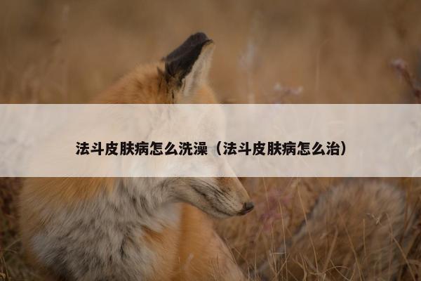 法斗皮肤病怎么洗澡（法斗皮肤病怎么治）
