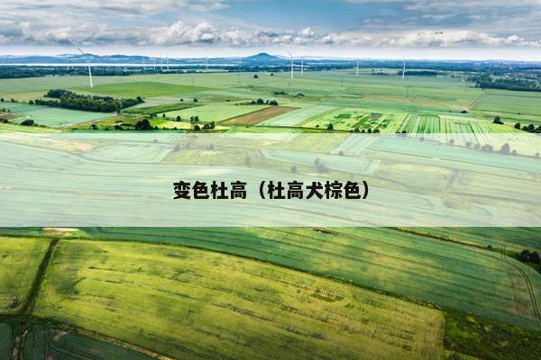 变色杜高（杜高犬棕色）