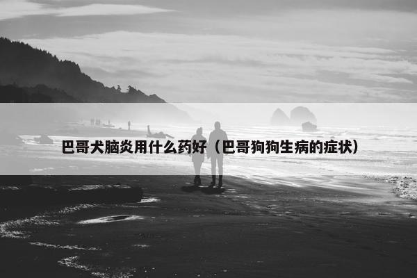 巴哥犬脑炎用什么药好（巴哥狗狗生病的症状）