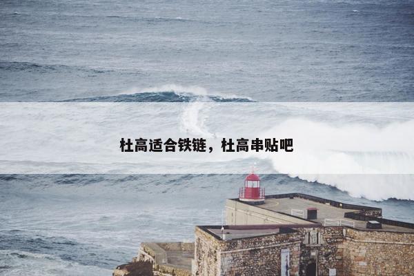 杜高适合铁链，杜高串贴吧