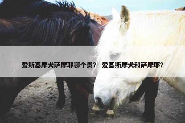 爱斯基摩犬萨摩耶哪个贵？ 爱基斯摩犬和萨摩耶？