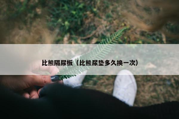比熊隔尿板（比熊尿垫多久换一次）