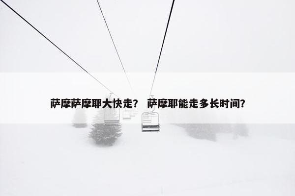 萨摩萨摩耶大快走? 萨摩耶能走多长时间? 萨摩萨摩耶大快走? 萨摩耶能走多长时间?