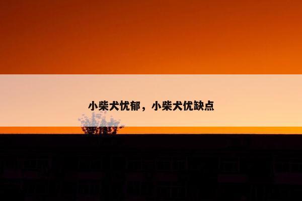 小柴犬忧郁，小柴犬优缺点