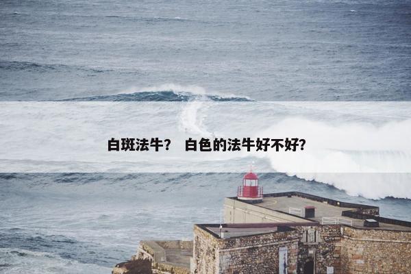 白斑法牛？ 白色的法牛好不好？