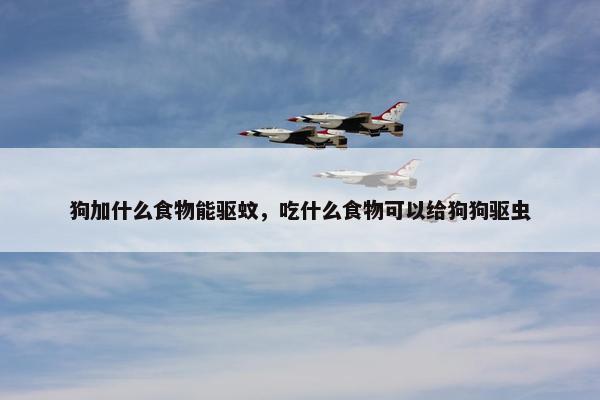 狗加什么食物能驱蚊，吃什么食物可以给狗狗驱虫