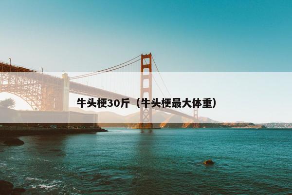 牛头梗30斤(牛头梗最大体重)