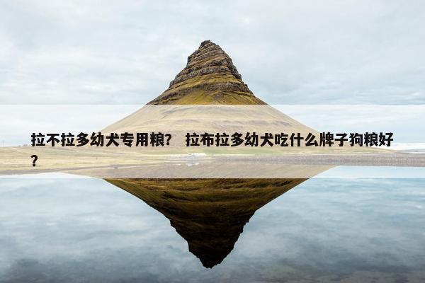 拉不拉多幼犬专用粮？ 拉布拉多幼犬吃什么牌子狗粮好？