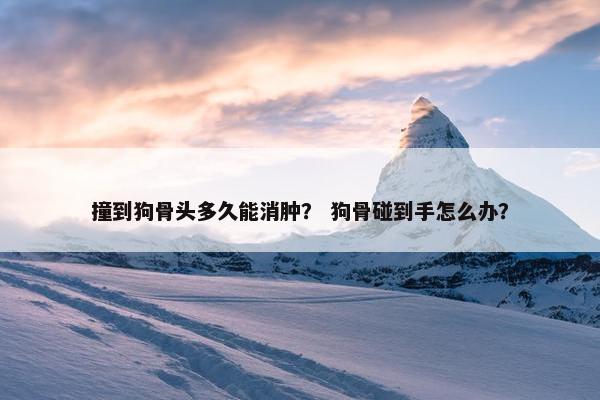撞到狗骨头多久能消肿? 狗骨碰到手怎么办?