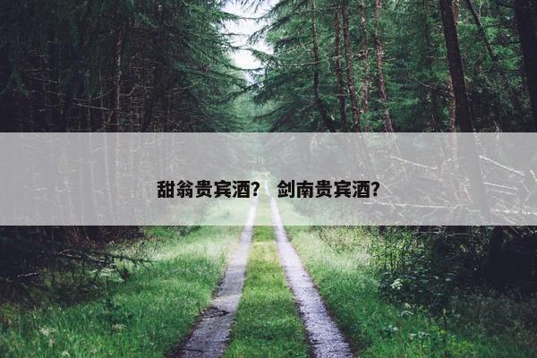 甜翁贵宾酒? 剑南贵宾酒?