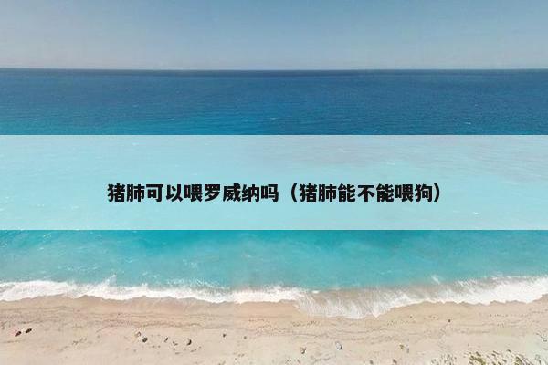 猪肺可以喂罗威纳吗（猪肺能不能喂狗）