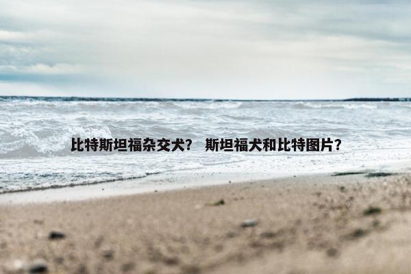 比特斯坦福杂交犬？ 斯坦福犬和比特图片？