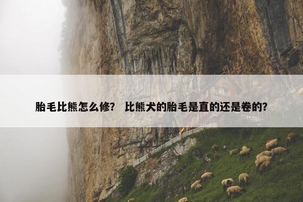 胎毛比熊怎么修？ 比熊犬的胎毛是直的还是卷的？