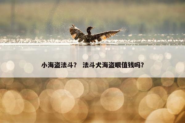 小海盗法斗？ 法斗犬海盗眼值钱吗？