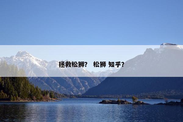 拯救松狮？ 松狮 知乎？
