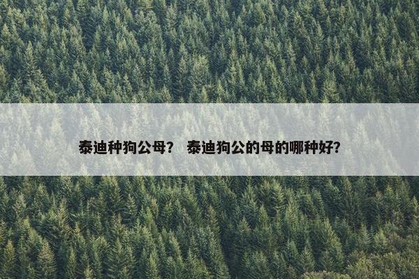 泰迪种狗公母？ 泰迪狗公的母的哪种好？