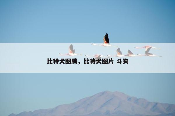 比特犬图腾，比特犬图片 斗狗