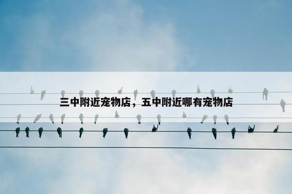 三中附近宠物店,五中附近哪有宠物店