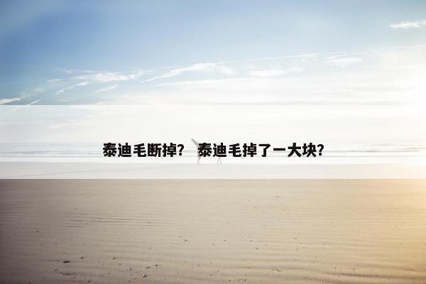 泰迪毛断掉？ 泰迪毛掉了一大块？