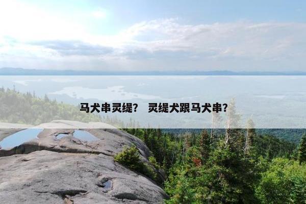 马犬串灵缇？ 灵缇犬跟马犬串？