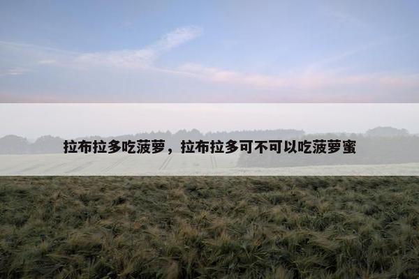 拉布拉多吃菠萝，拉布拉多可不可以吃菠萝蜜