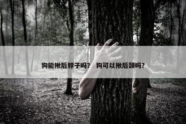 狗能揪后脖子吗? 狗可以揪后颈吗? 狗能揪后脖子吗? 狗可以揪后颈吗?