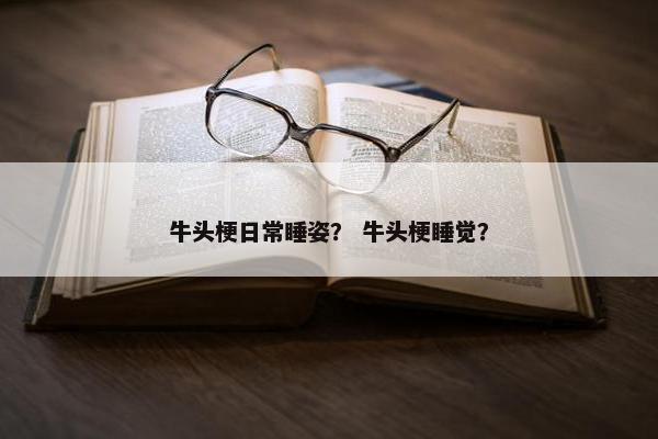 牛头梗日常睡姿? 牛头梗睡觉?