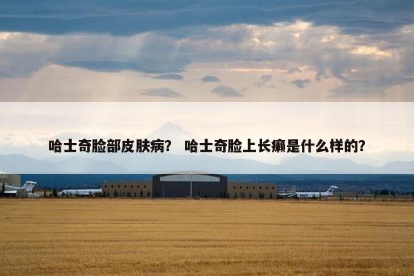 哈士奇脸部皮肤病？ 哈士奇脸上长癞是什么样的？