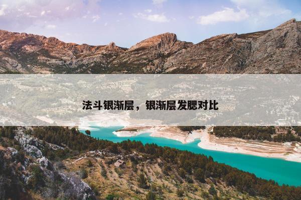 法斗银渐层，银渐层发腮对比